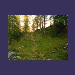2012-08-11__03Kaerlinger-Haus_Viehkogel (340).JPG